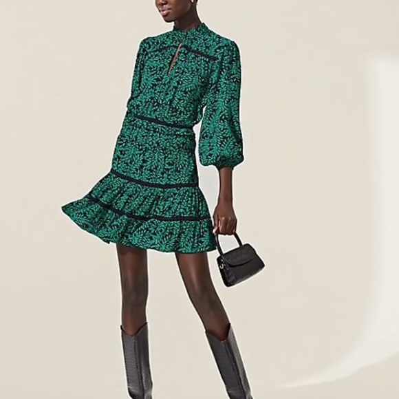 NWT JOIE Salama Printed Mini Dress - Picture 6 of 12